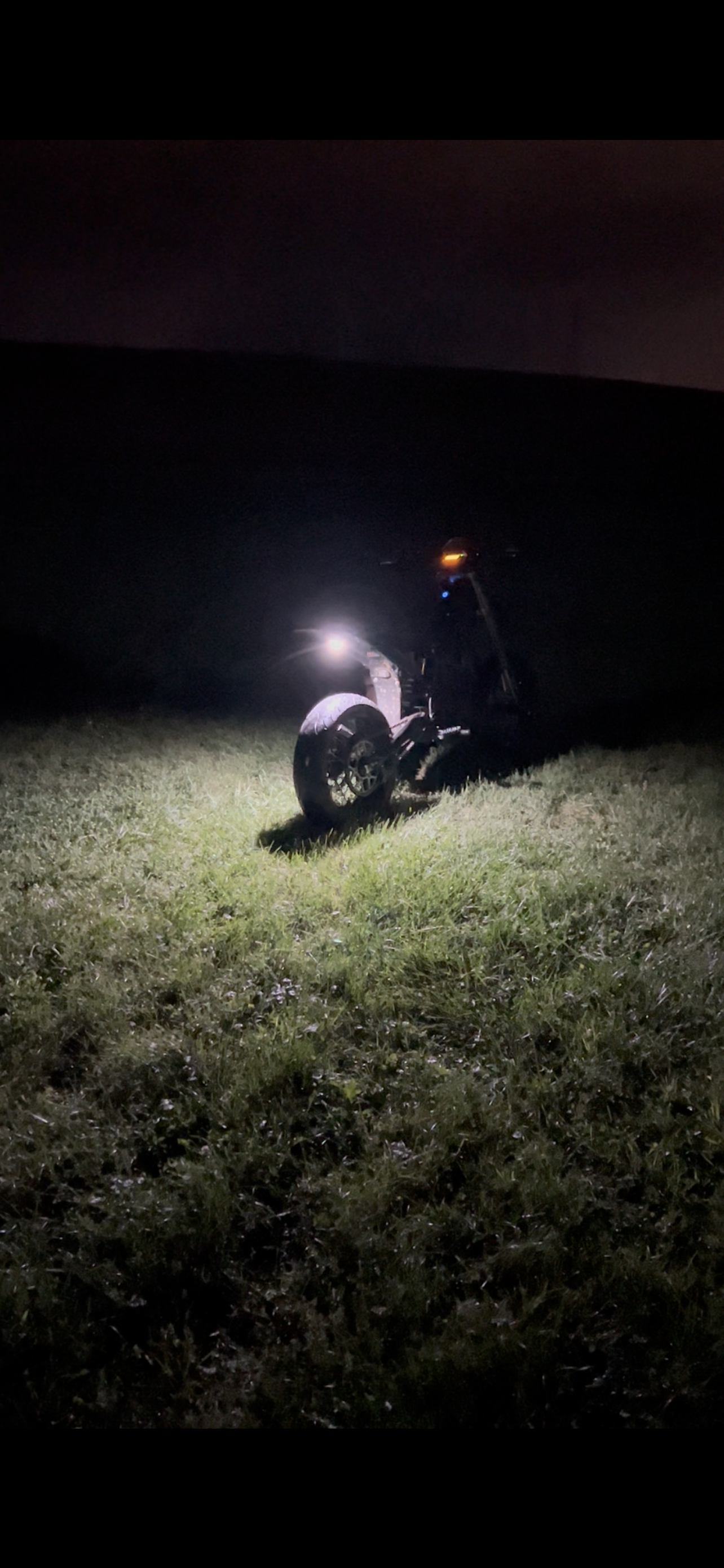 Ultra bee under glow